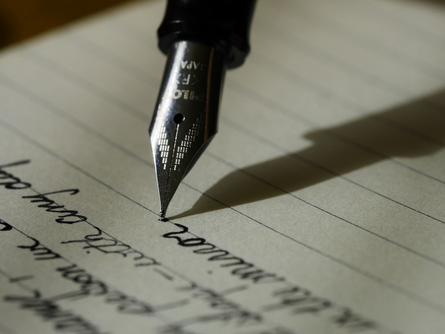 Life’s Journey: Insights and Musings